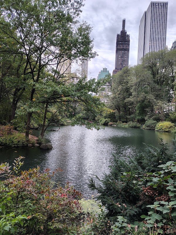 Central Park exploration – Central Park, New York (photo 1)