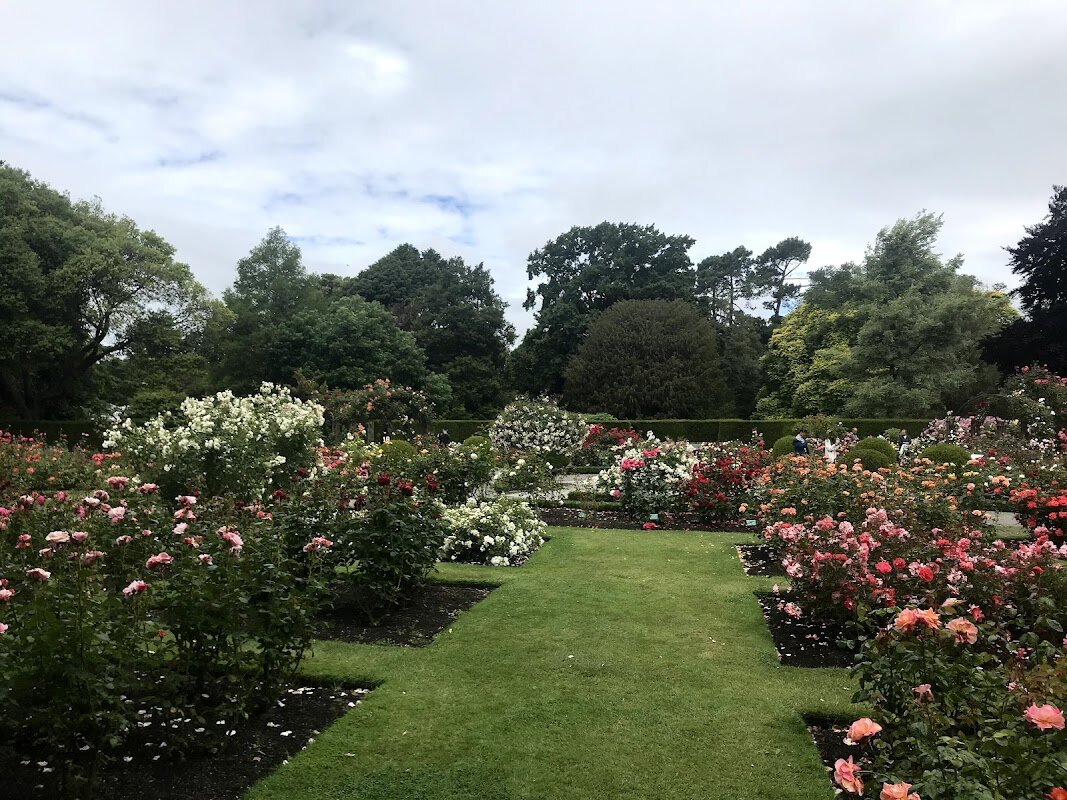 Christchurch Botanic Gardens – Rolleston Avenue, Christchurch, Nouvelle-Zélande (photo 1)