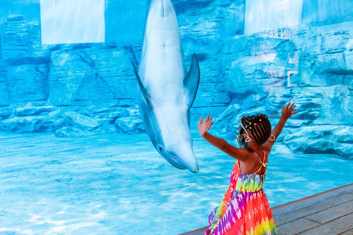 Clearwater Marine Aquarium – Clearwater Beach (photo 1)