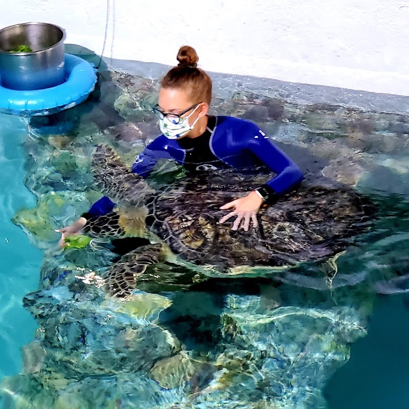 Clearwater Marine Aquarium – Clearwater Beach (photo 3)