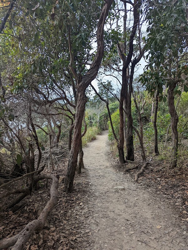 Coastal Walk – Coastal Walk, Noosa Heads QLD 4567, Australia (photo 3)