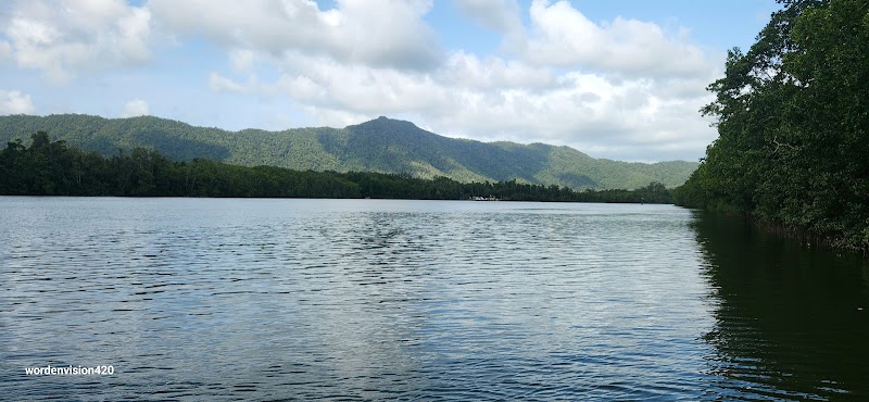 Crocodile Express Greater Daintree Wildlife Cruises – 315 Cape Tribulation Rd, Lower Daintree QLD 4873, Australia (photo 2)