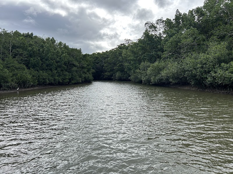 Crocodile Express Greater Daintree Wildlife Cruises – 315 Cape Tribulation Rd, Lower Daintree QLD 4873, Australia (photo 3)