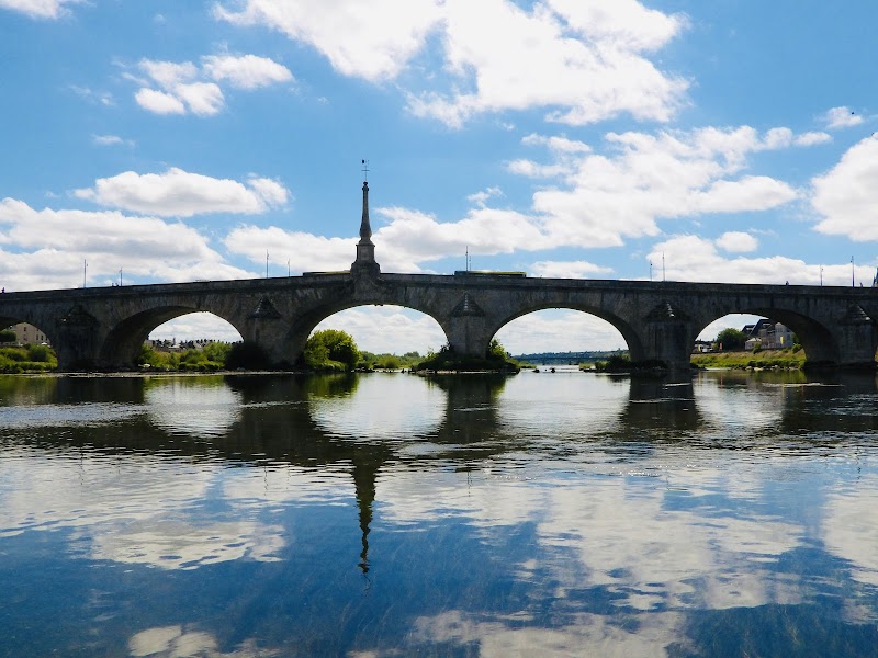 Croisière sur la Loire – Port de la Creusille, 41000 Blois (photo 3)