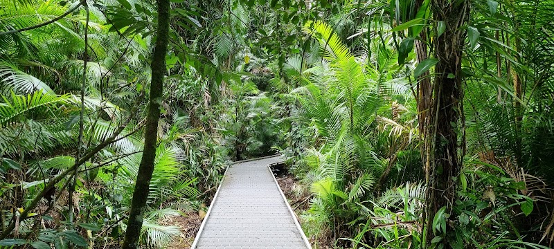 Daintree Tours – Kiosk 1, 11/17 Macrossan St, Port Douglas QLD 4877, Australia (photo 3)