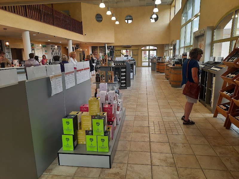 Dégustation de vins de Loire – 38 rue de la Vallée Coquette, 37210 Vouvray (photo 3)