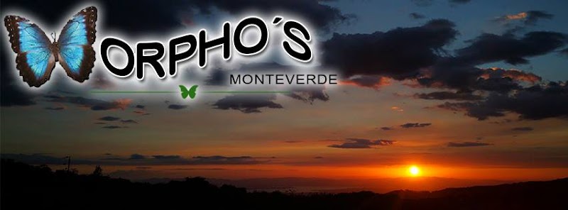 Restaurante Morpho's – Monteverde, Costa Rica (photo 3)