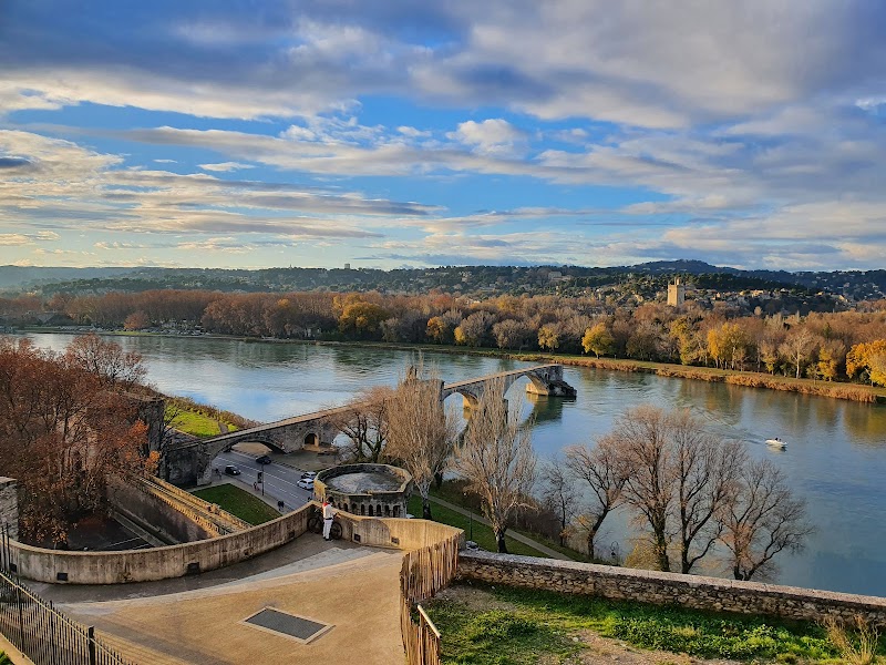 Détente au Jardin des Doms – Jardin des Doms, Montée des Moulins, 84000 Avignon (photo 3)