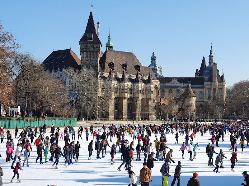 Détente au Parc de la Ville ou Île Marguerite – Városliget ou Margit-sziget, Budapest (photo 3)