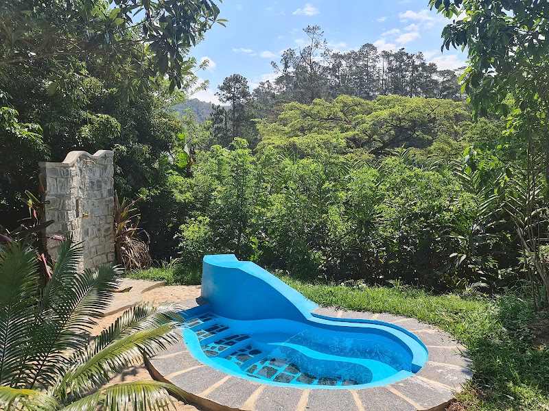 Dîner hôtel – Ranomafana (photo 3)