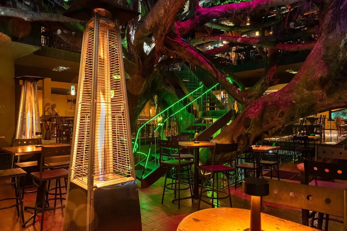Tree House Restaurant – Monteverde, Costa Rica (photo 1)