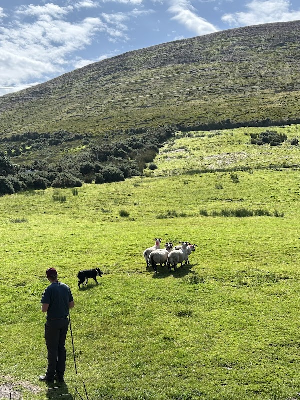 Dingle Peninsula — day trip – Départ Killarney, Co. Kerry, Irlande (photo 2)
