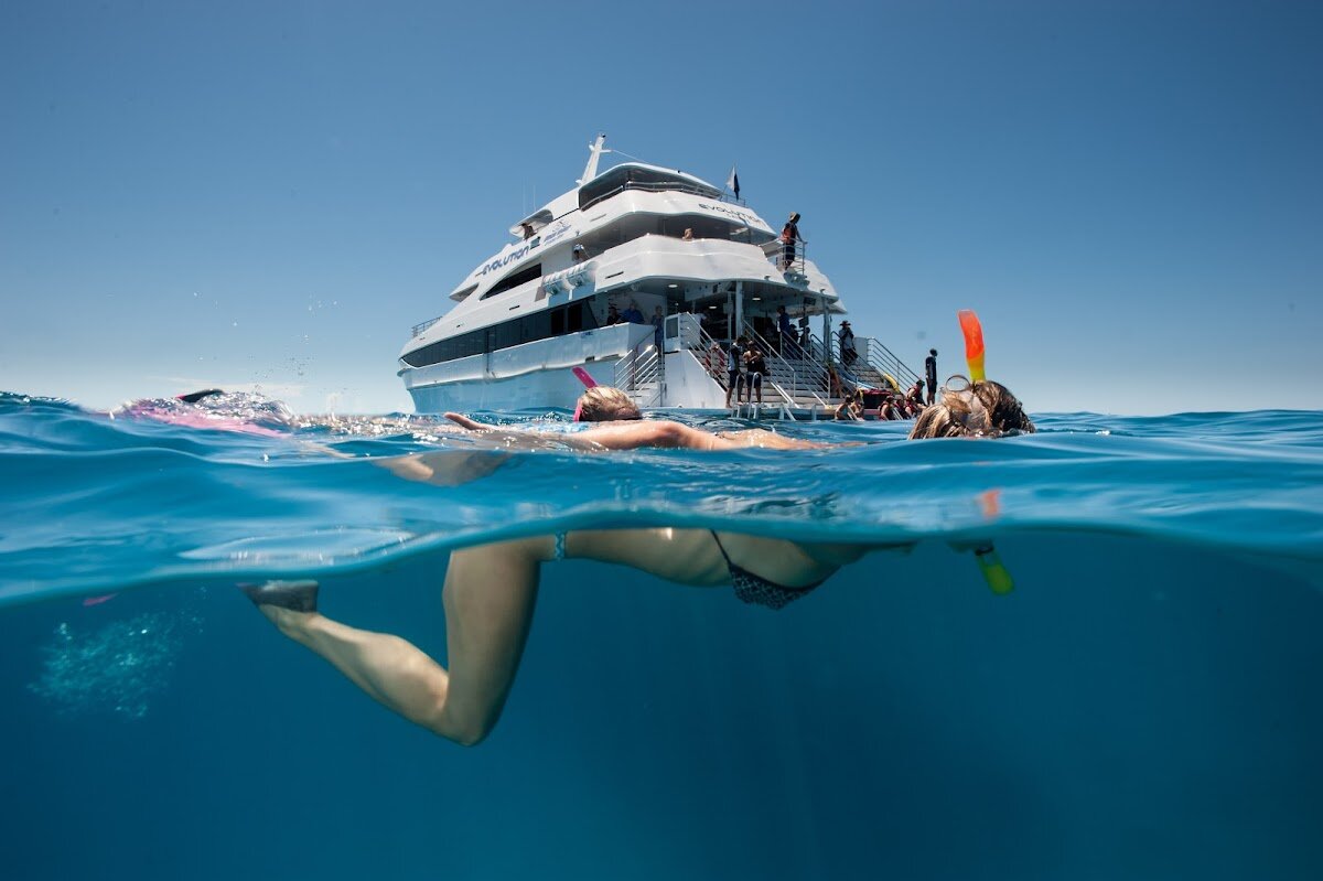 Down Under Cruise and Dive – Reef Fleet Terminal, 1 Spence St, Cairns City QLD 4870, Australia (photo 1)