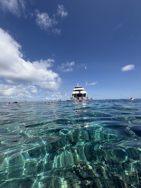 Down Under Cruise and Dive – Reef Fleet Terminal, 1 Spence St, Cairns City QLD 4870, Australia (photo 2)