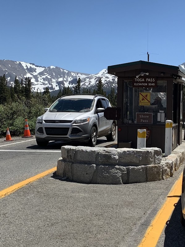 Drive Scenic Tioga Road et randonnée Tuolumne Meadows – Yosemite High Country, Californie (photo 3)