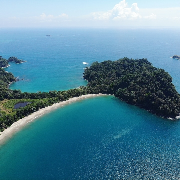 Entrée Parc National Manuel Antonio + guide – Parc National Manuel Antonio, Quepos (photo 2)