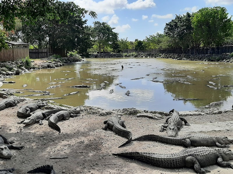 Everglades Alligator Farm – Homestead, Fort Lauderdale (photo 2)