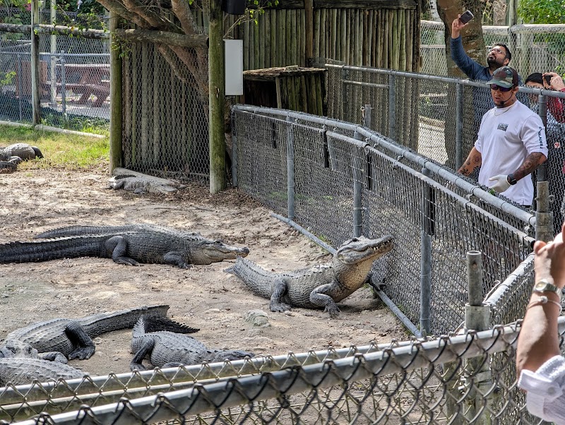 Everglades Alligator Farm – Homestead, Fort Lauderdale (photo 3)
