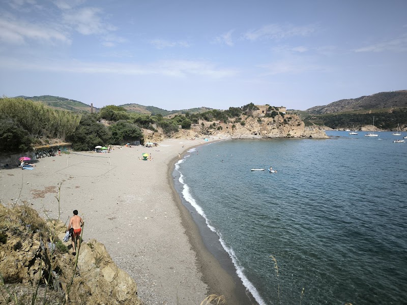 Excursion à l'Anse de Paulilles – Entre Port-Vendres et Banyuls (photo 2)