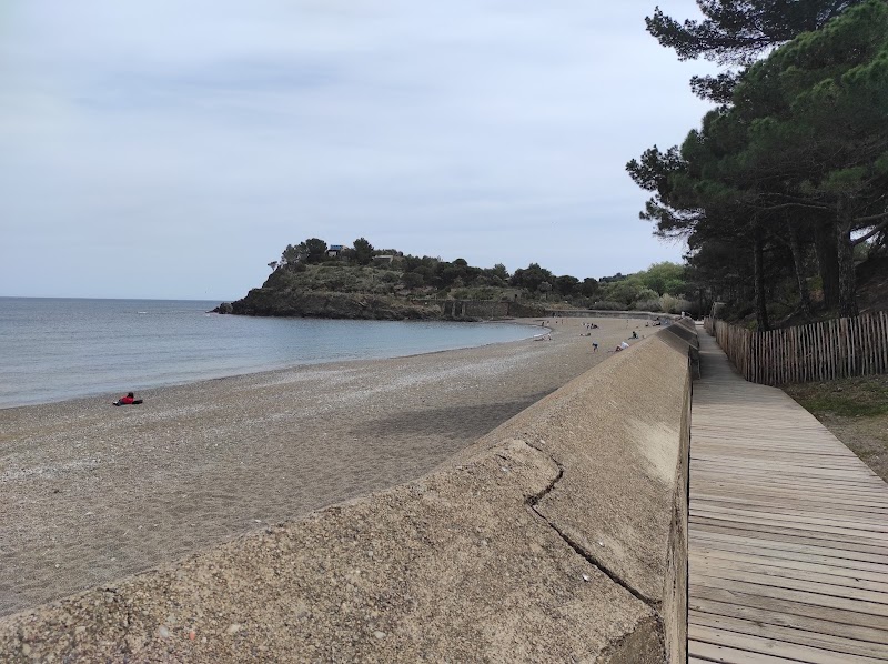 Excursion à l'Anse de Paulilles – Entre Port-Vendres et Banyuls (photo 3)
