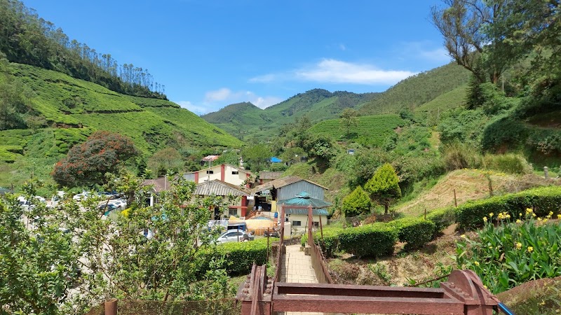 Excursion plantations Munnar & Tea Museum – Munnar Hill Station (photo 3)