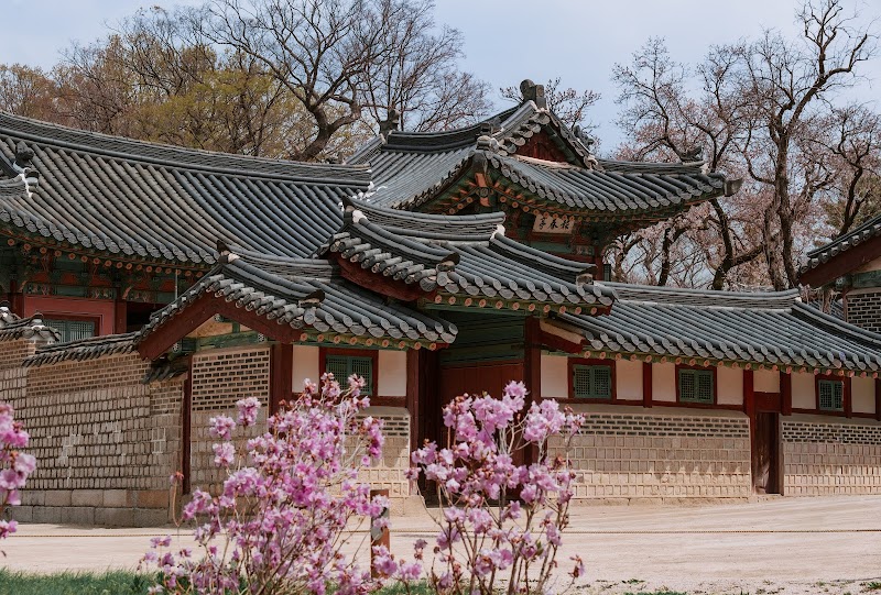 Exploration du Palais Changdeokgung et Secret Garden – Jongno-gu, Séoul (photo 2)