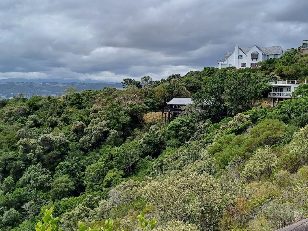 Featherbed Nature Reserve Ferry & Hike – Knysna Lagoon, Route des Jardins (photo 1)