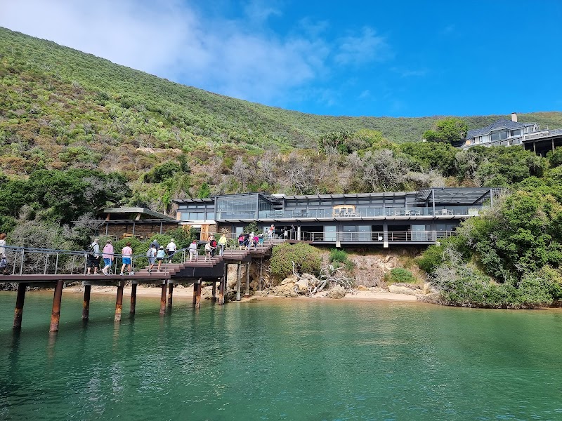 Featherbed Nature Reserve Ferry & Hike – Knysna Lagoon, Route des Jardins (photo 3)