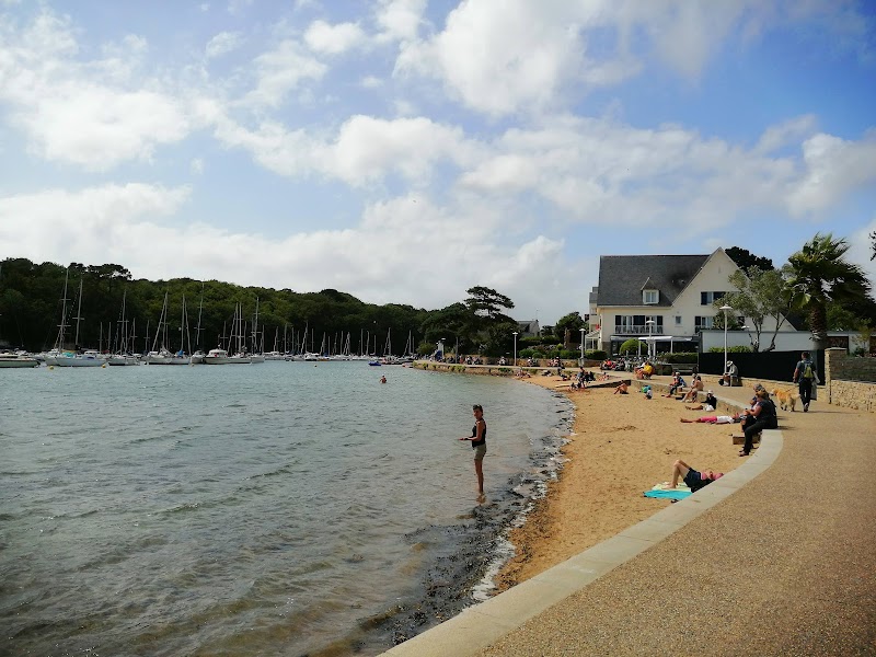 Feu d'artifice du 14 juillet – Vannes ou ville côtière proche (photo 2)