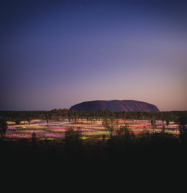 Field of Light (pre-booked access only) – 177 Yulara Dr, Yulara NT 0872, Australia (photo 1)
