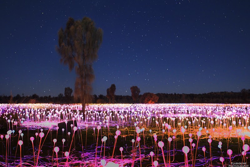 Field of Light (pre-booked access only) – 177 Yulara Dr, Yulara NT 0872, Australia (photo 2)
