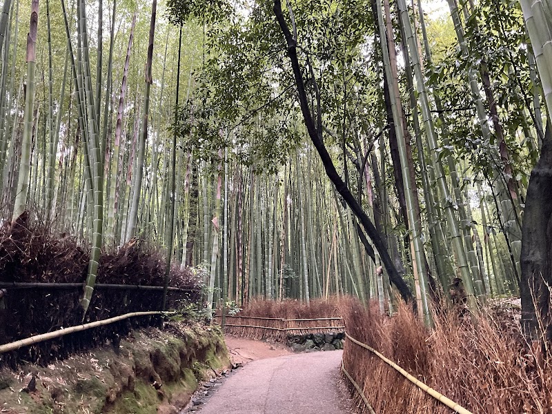 Forêt de bambou d'Arashiyama – Arashiyama, Kyoto (photo 3)