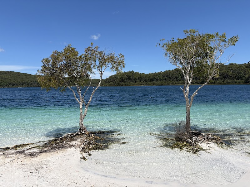 Fraser Island Adventure Tours – Lake Mc Kenzie Rd, K'gari QLD 4581, Australia (photo 2)
