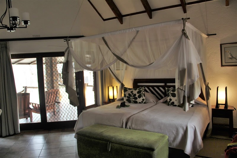 Game Drive Crépuscule - Sundowner Safari – Sabi Sands Private Game Reserve (photo 2)