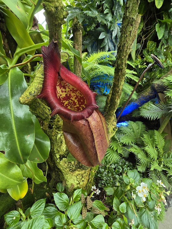 Gardens by the Bay - Cloud Forest – Marina Bay, Singapore (photo 2)