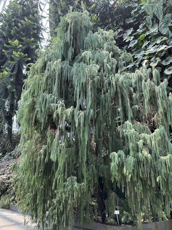 Gardens by the Bay - Cloud Forest – Marina Bay, Singapore (photo 3)