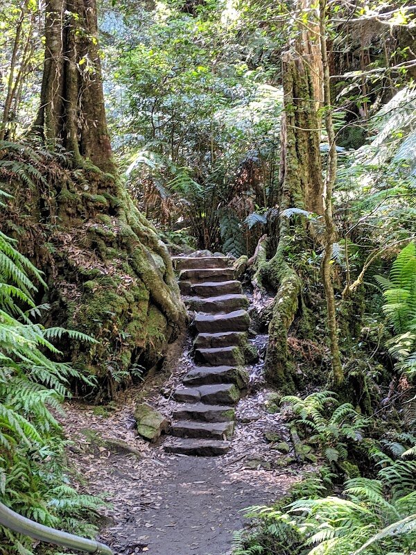 Grand Canyon Walking Track – Blue Mountains National Park, Evans Lookout Rd, Blackheath NSW 2785, Australia (photo 1)
