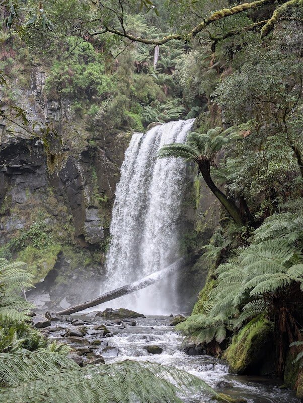 Hopetoun Falls – Hopetoun Falls, Great Otway National Park (photo 1)