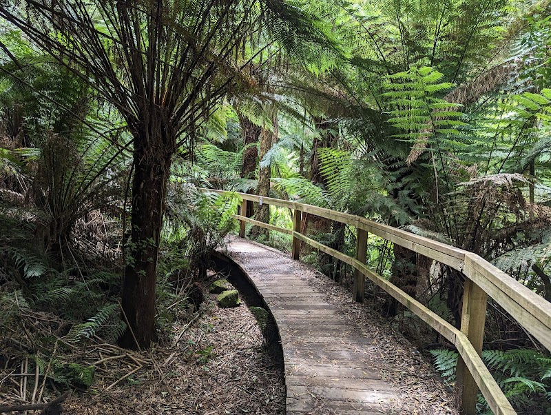 Hopetoun Falls – Hopetoun Falls, Great Otway National Park (photo 3)