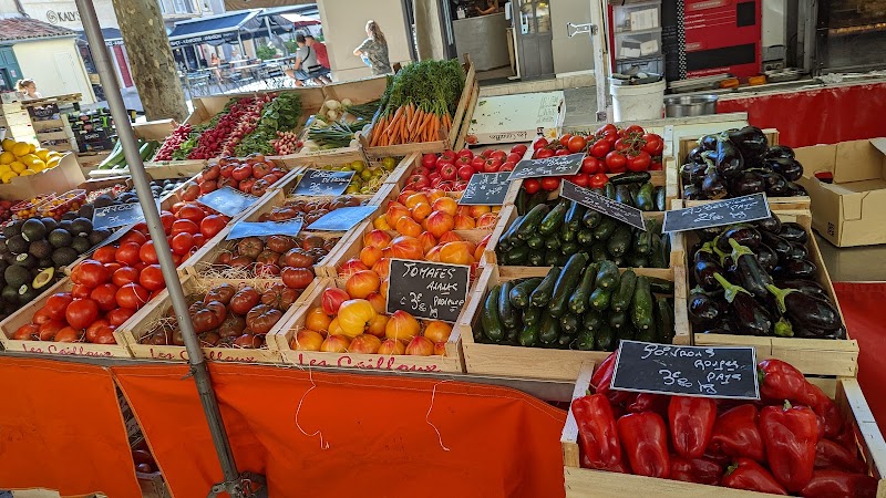 Immersion dans les marchés provençaux – Marché Place Richelme, Place Richelme, Aix-en-Provence (photo 3)