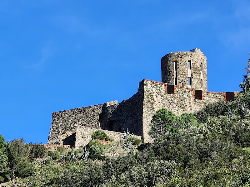 Journée à Collioure – Collioure Centre (photo 2)