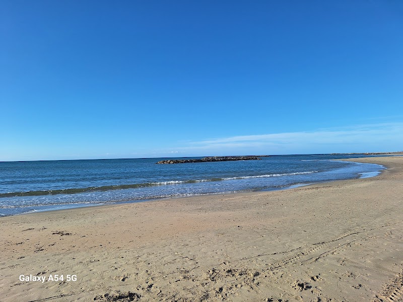 Journée plage à Palavas-les-Flots – Plage Rive Droite, Avenue Saint-Maurice, Palavas-les-Flots (photo 3)