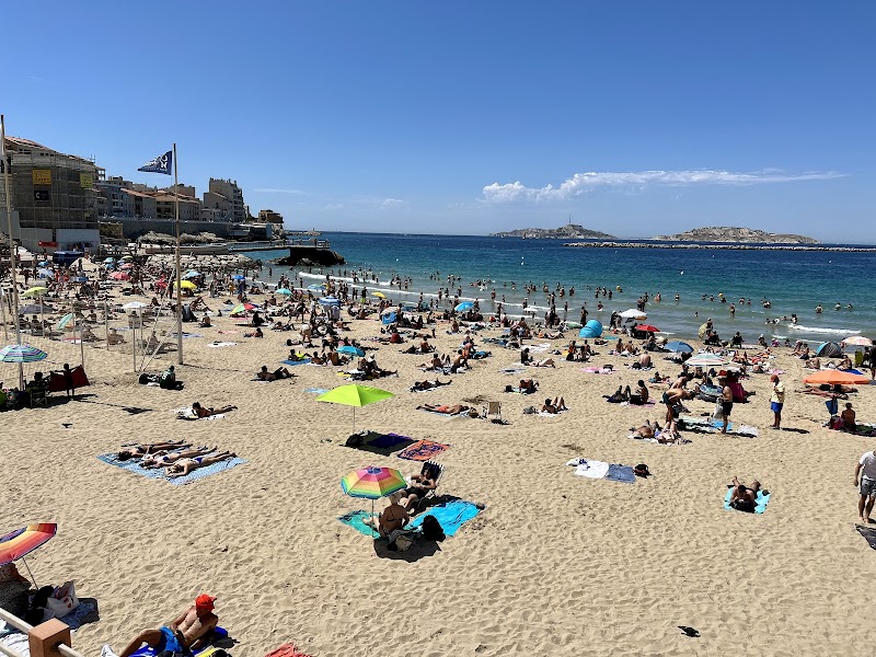 Journée plage et snorkeling aux Catalans – Plage des Catalans, Boulevard Charles Livon, 13007 Marseille (photo 2)