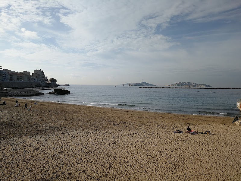 Journée plage et snorkeling aux Catalans – Plage des Catalans, Boulevard Charles Livon, 13007 Marseille (photo 3)