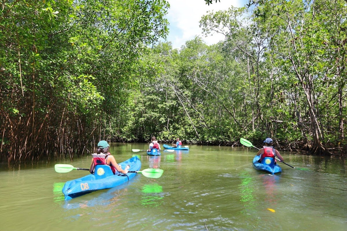 Kayak mer Manuel Antonio – Plage Espadilla, Manuel Antonio (photo 1)