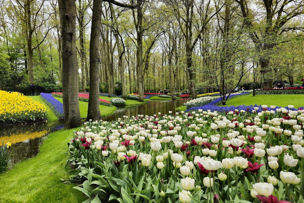 Keukenhof Gardens – Lisse, Pays-Bas (photo 1)