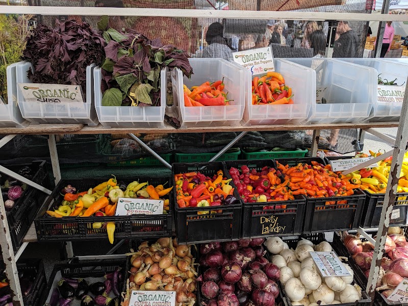 Kitsilano Farmers Market – Kitsilano, Vancouver (photo 3)