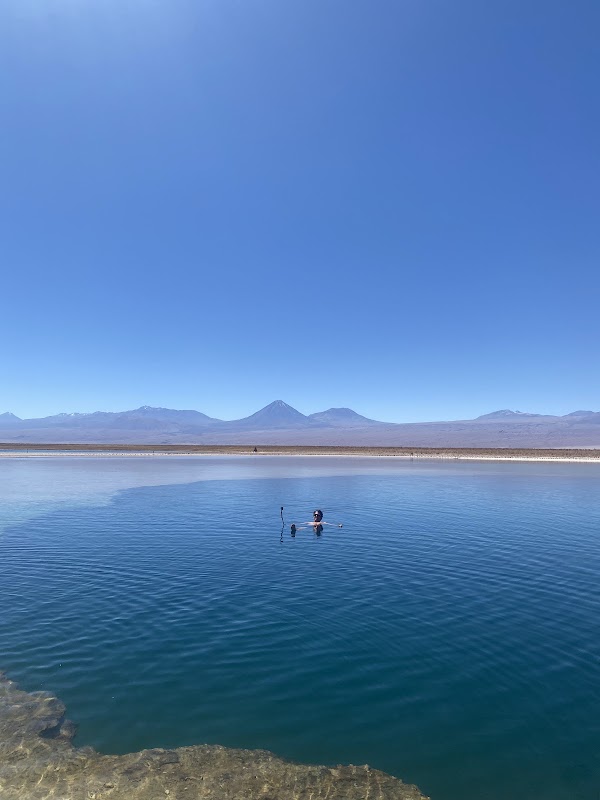 Laguna Cejar – Laguna Cejar, Chili (photo 2)