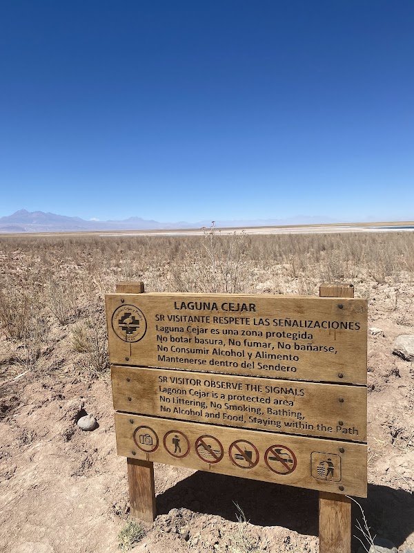 Laguna Cejar – Laguna Cejar, Chili (photo 3)