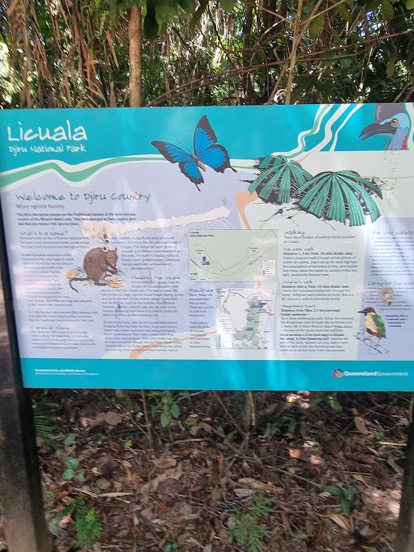 Licuala Day Use Area – Tully Mission Beach Rd, Wongaling Beach QLD 4852, Australia (photo 3)